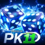 PK11 GAME