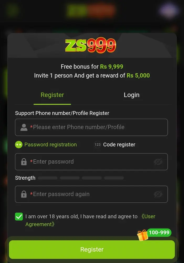ZS999 Game